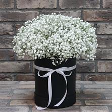 Цветочная композиция из Гипсофила в шляпной коробке в Константиновской Краснодарского края